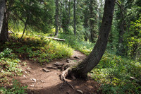 Teton National Park