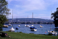 Lake Zurich