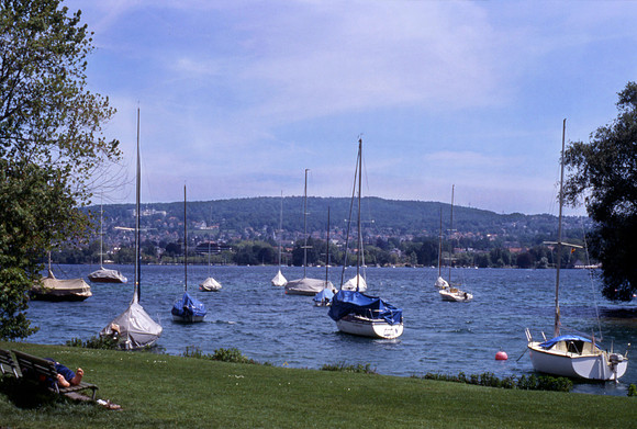 Lake Zurich