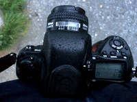 Nikon F5, wet from mist