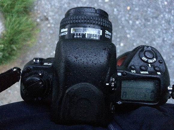 Nikon F5, wet from mist