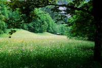 Switzerland