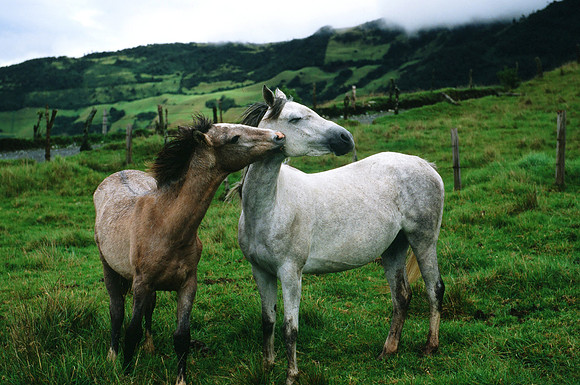 Ecuador
