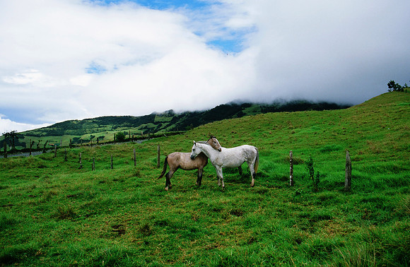 Ecuador