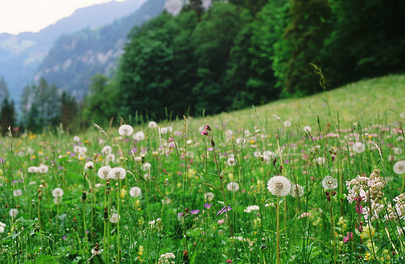 Switzerland