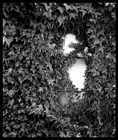 Black and White
