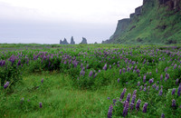 Iceland